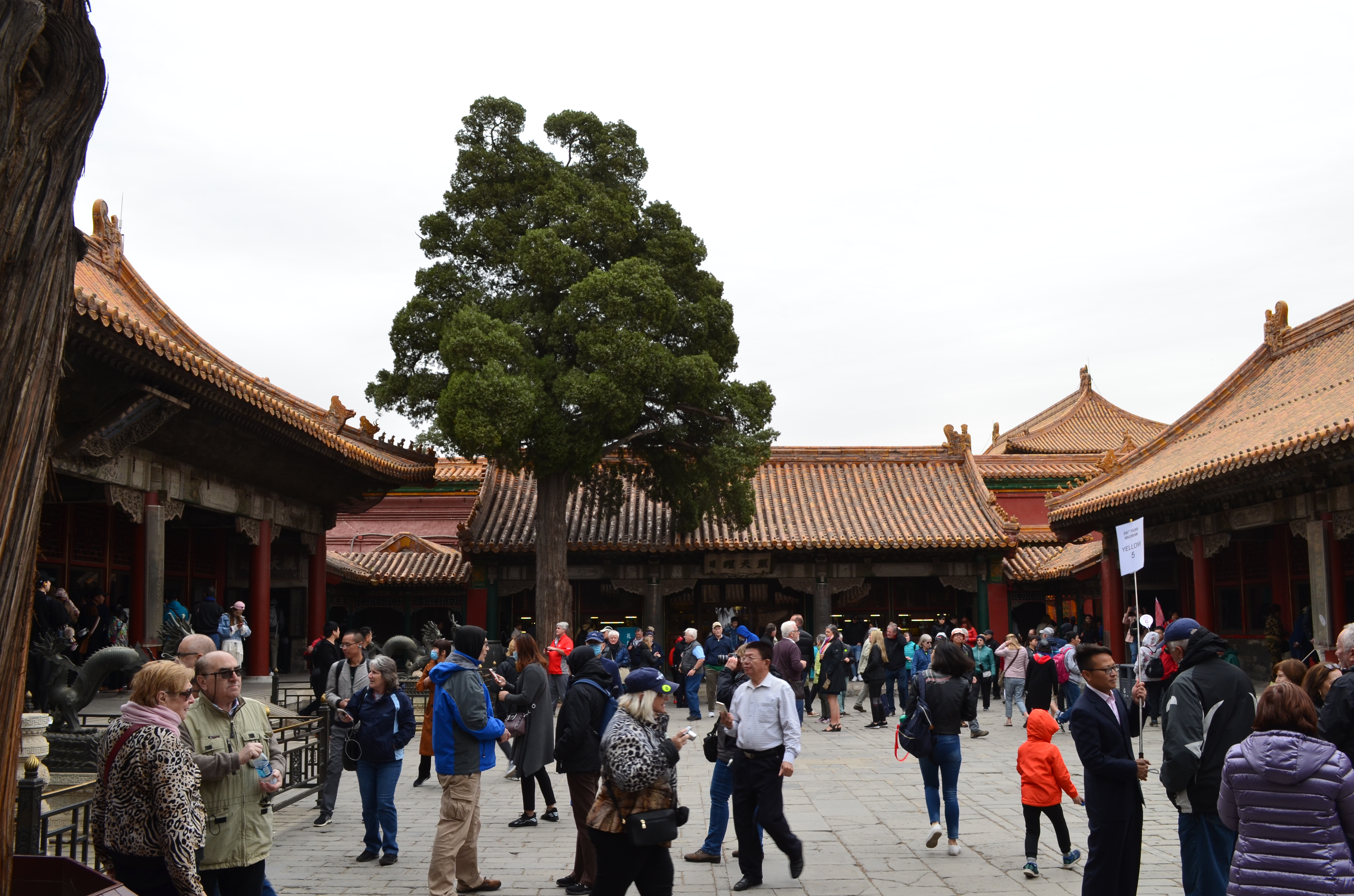 ./2018/03 - Viking China/06 - Forbidden City/DSC_10069.JPG
